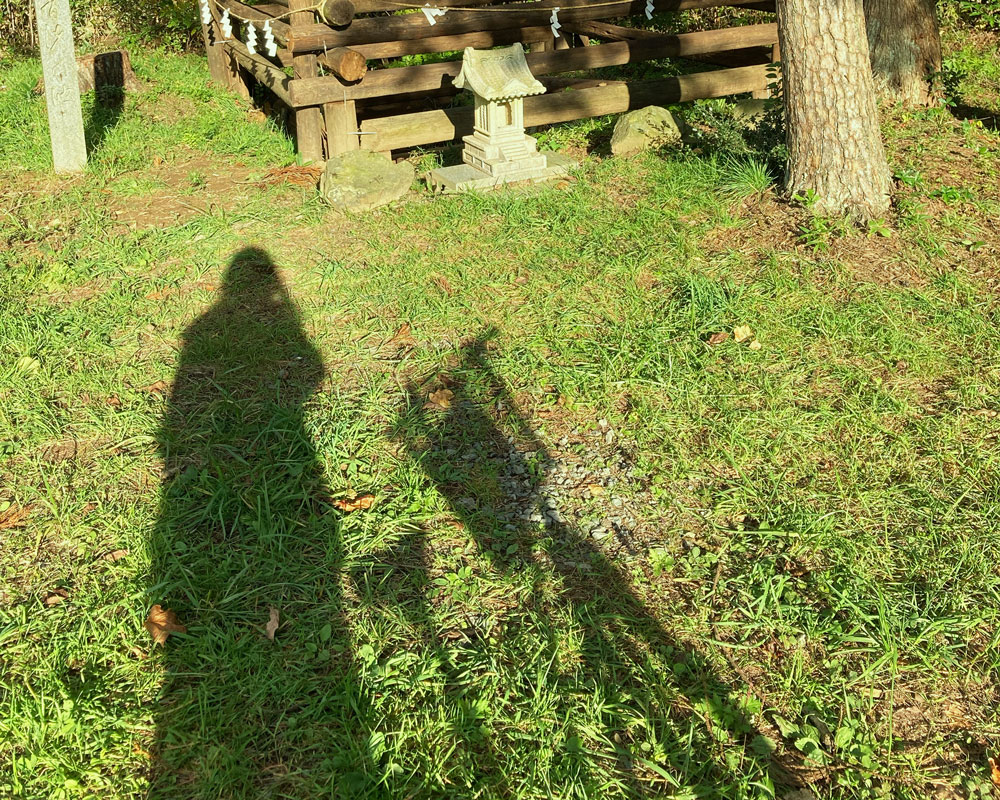 自転車と人の影の写真
